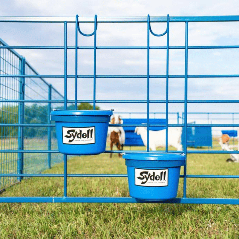 Pail Bucket Feeder: Sydell's Premium Goat Care Equipment for Homesteaders