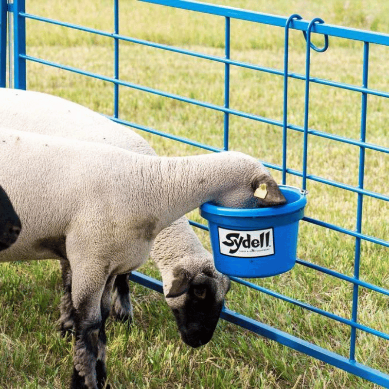 Sydell Pail Bucket Feeder: Durable Goat Feeding Equipment for Small Farm Homesteaders
