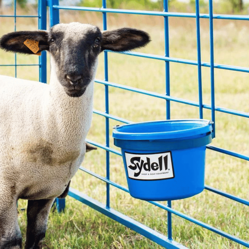 Heavy-Duty Pail Bucket Feeder by Sydell: Ideal Solution for Goat Care and Grazing