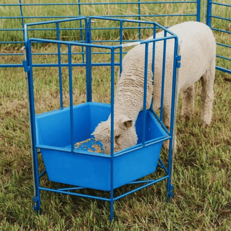 Durable 6-Sided Sectional Feeder by Sydell: Efficient Free Standing Solution for Livestock Care