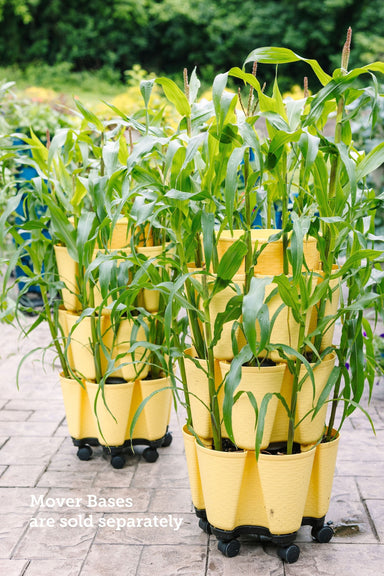 3 Tier GreenStalk Original Vertical Planter | Lemon (Basket Weave Texture) 