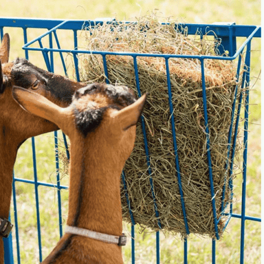 Sydell Hay Basket Feeder: Durable Equipment for Efficient Livestock Feeding on Small Farms