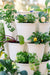 7 Tier GreenStalk Leaf Vertical Planter | Snow (Basic Texture) 