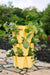 3 Tier GreenStalk Original Vertical Planter | Lemon (Basic Texture) 