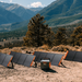 Solar panels charging a portable power station in a mountainous landscape